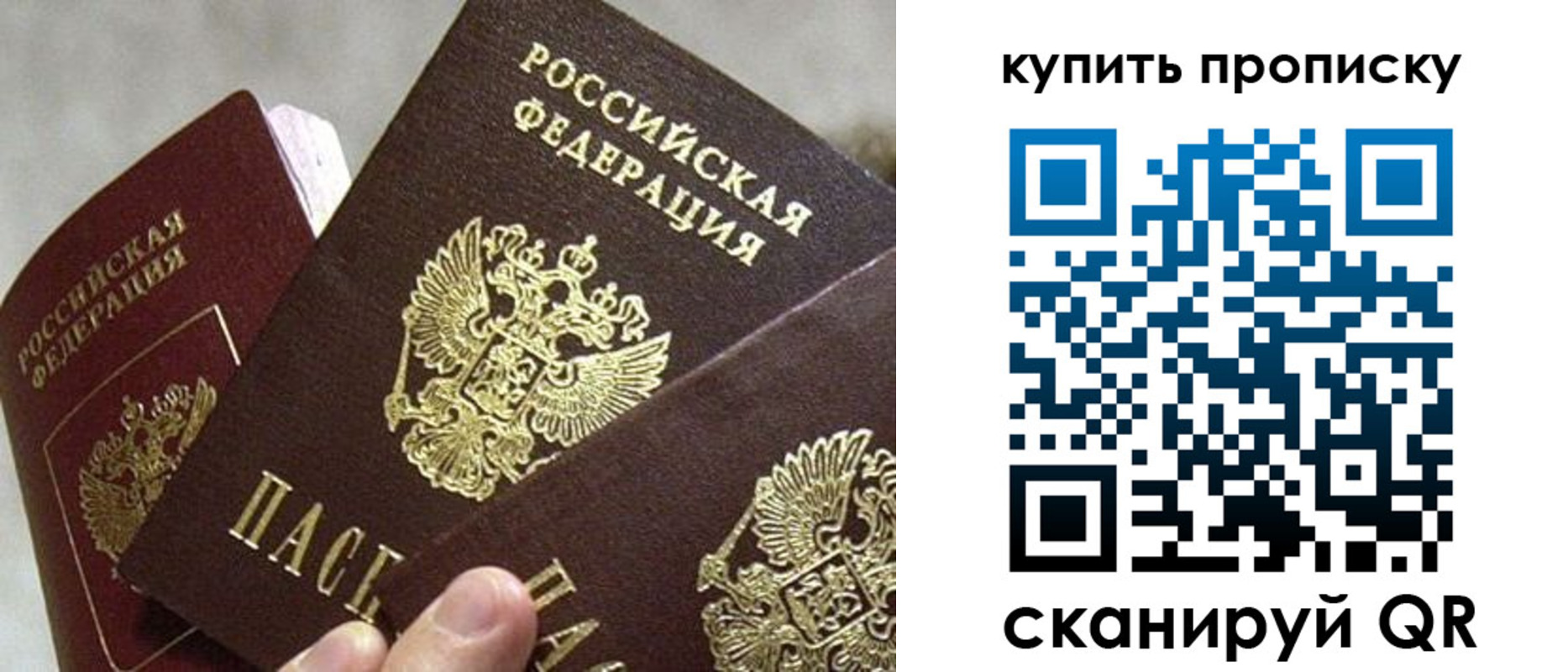 прописка для школы в Старом Осколе